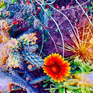 Lovely Star * Photo Print
”None of This is Real”